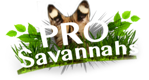 ProSavannahs Logo